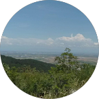 Зоя Кригорова
